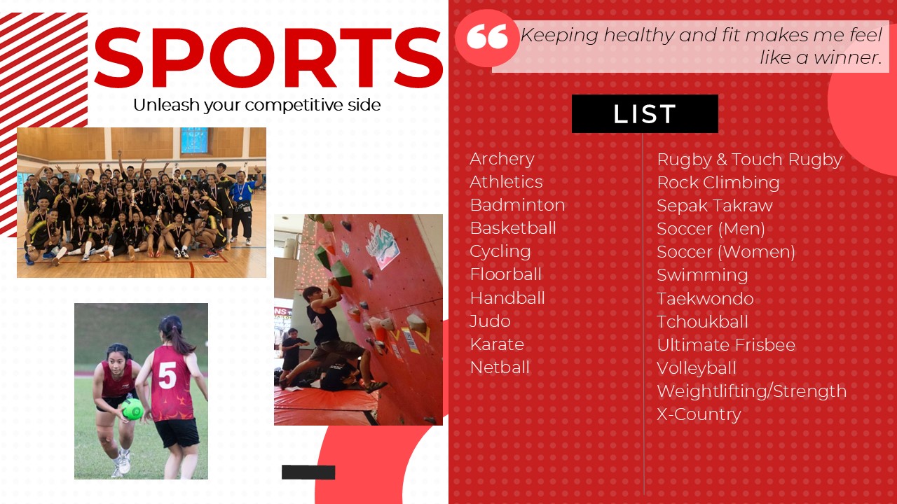 cca-sports