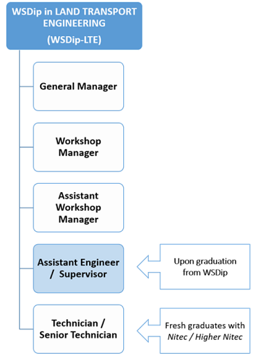 WSDip-Land Transport Engineering - Career Progression Image Template