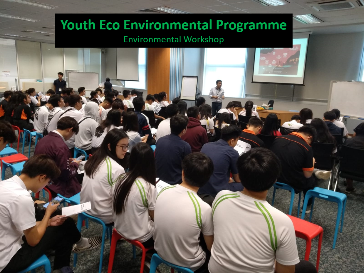 YEEP - Eco Workshop 2019