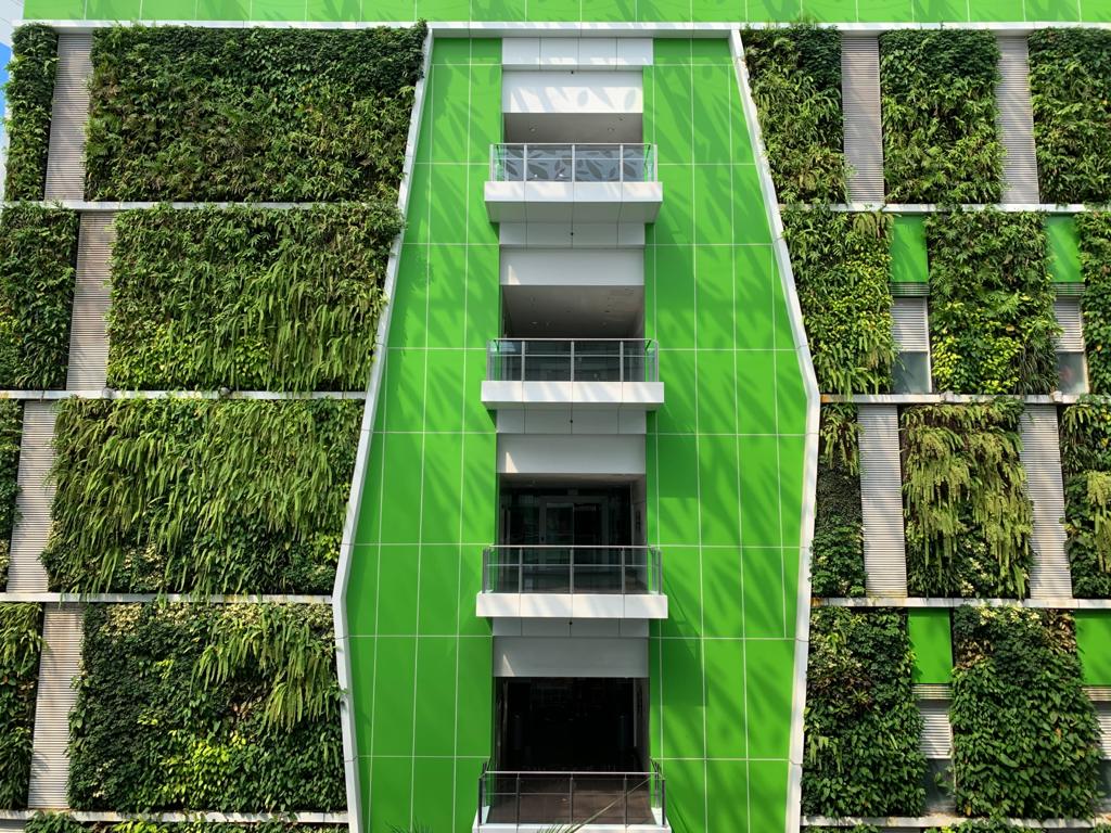 CC Green Wall