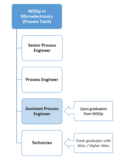 WSDip-Microelectronics (Process Track) - Career Progression Image Template - web