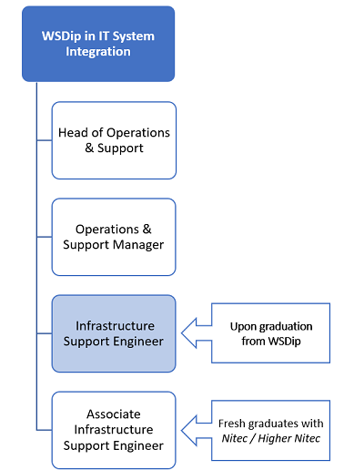 Work Study Diploma in IT System Integration - Career Progression Image Template