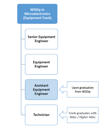 WSDip-Microelectronics (Equipment Track) - Career Progression Image Template - Web